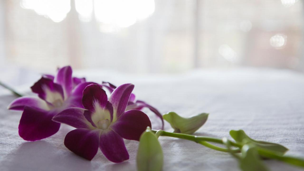 Patnem Dwarka Villa Patnem Beach Екстериор снимка